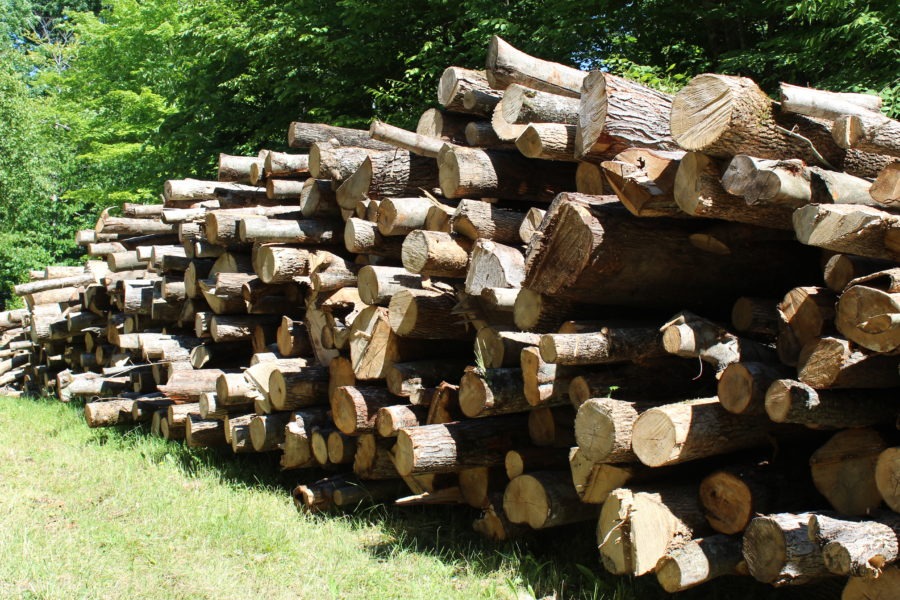 Green Hardwood Firewood