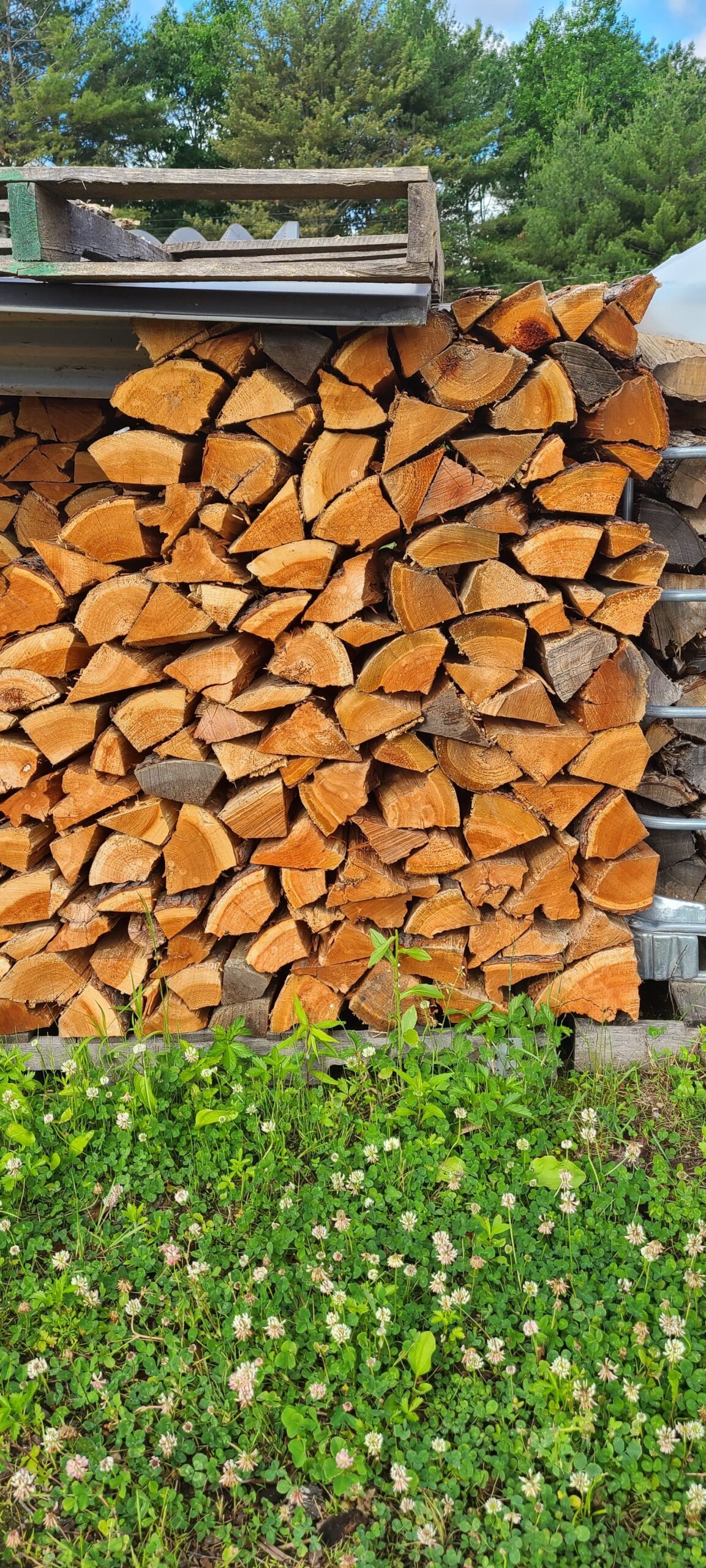 Green Hardwood Firewood - Hartman Hill - Firewood Products